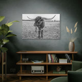 B&W Longhorn Bull Horizontal Canvas