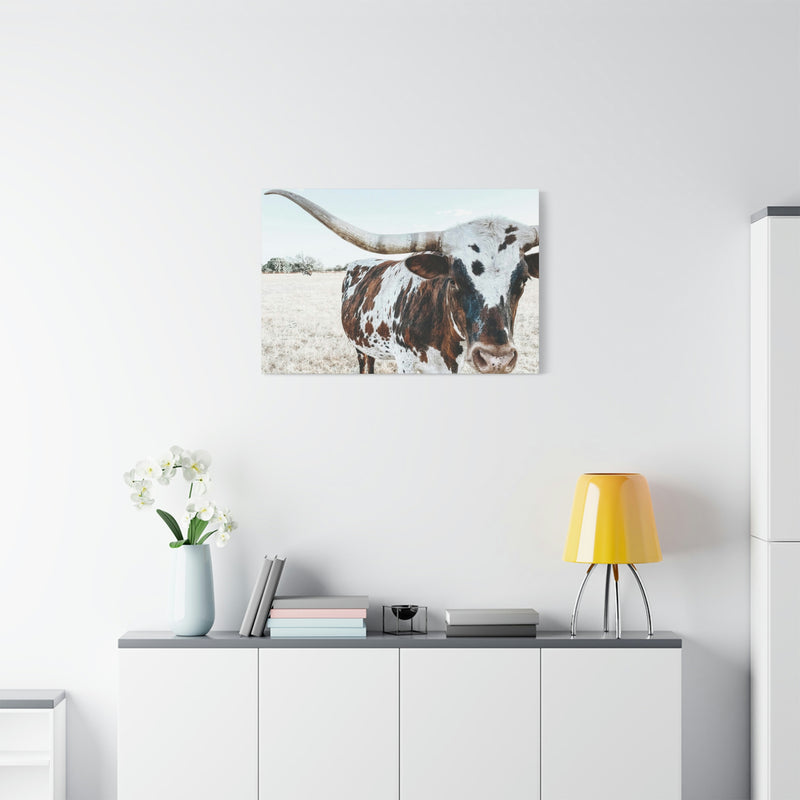 Charlotte The Longhorn Cow Horizontal Canvas