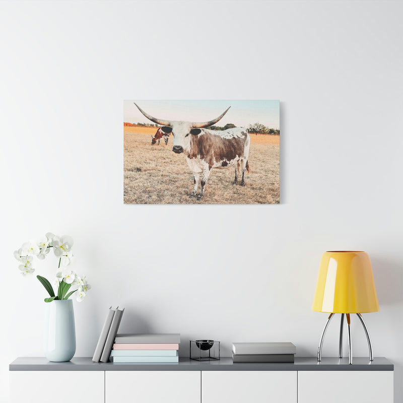 Longhorn Cow Canvas