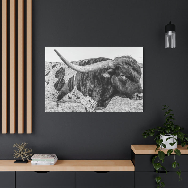 B&W Longhorn Bull Canvas