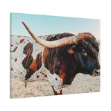 Iron Dragon Longhorn Bull Horizontal Canvas