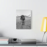 B&W Longhorn Bull Vertical Canvas