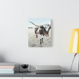 Charlotte Longhorn Cow Vertical Canvas