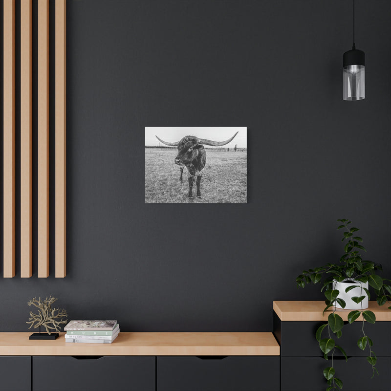 B&W Longhorn Bull Horizontal Canvas