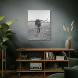 B&W Longhorn Bull Vertical Canvas