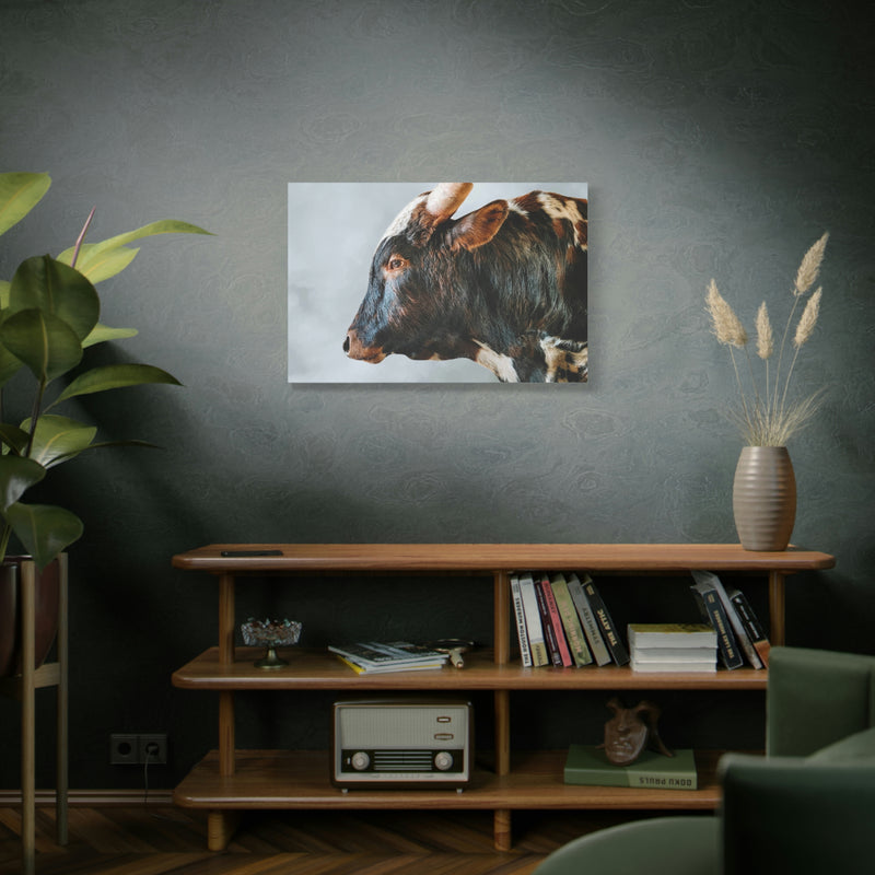 Longhorn Bull Canvas