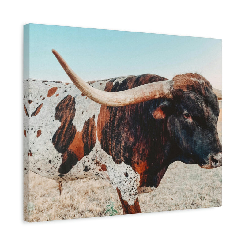 Iron Dragon Longhorn Bull Horizontal Canvas