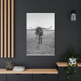 B&W Longhorn Bull Vertical Canvas