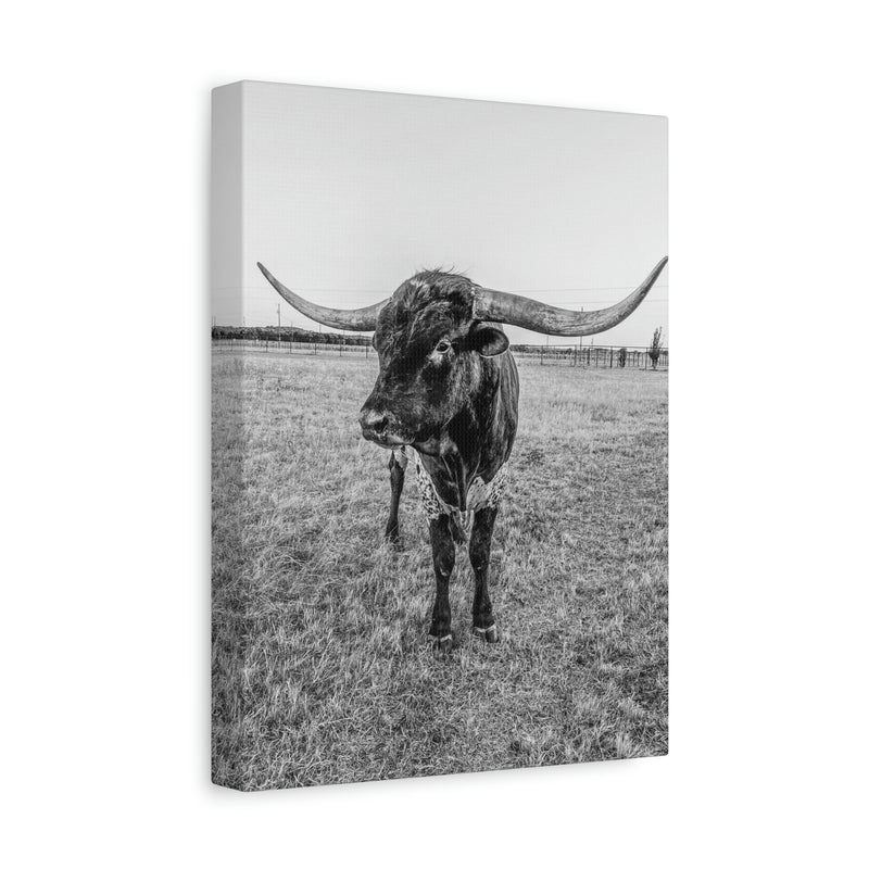 B&W Longhorn Bull Vertical Canvas