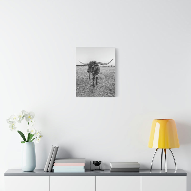 B&W Longhorn Bull Vertical Canvas