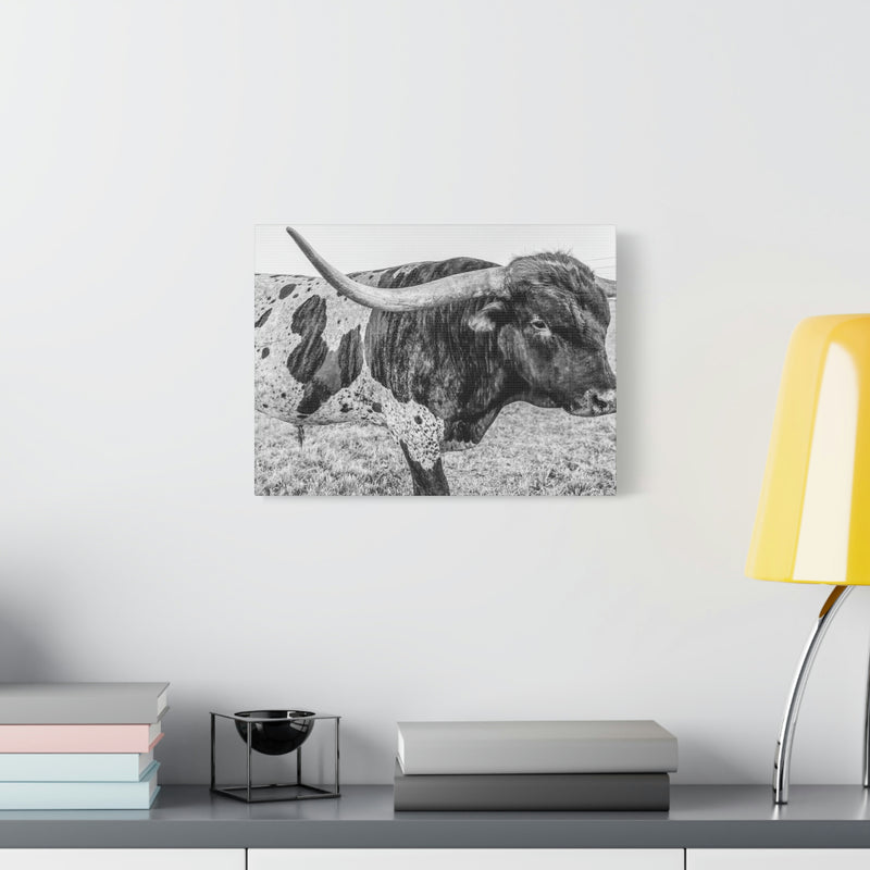 B&W Longhorn Bull Canvas