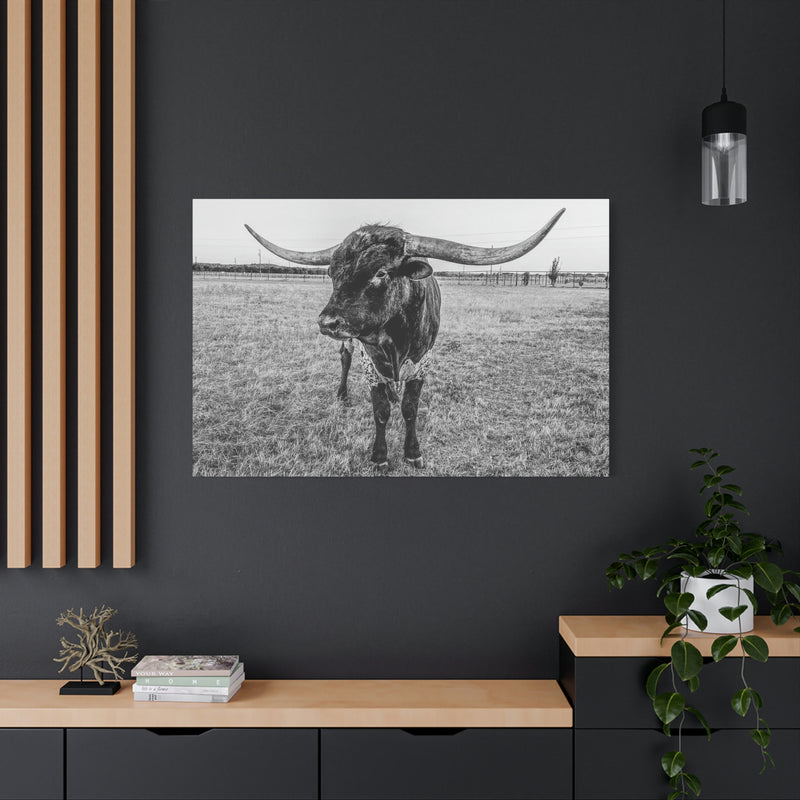 B&W Longhorn Bull Horizontal Canvas