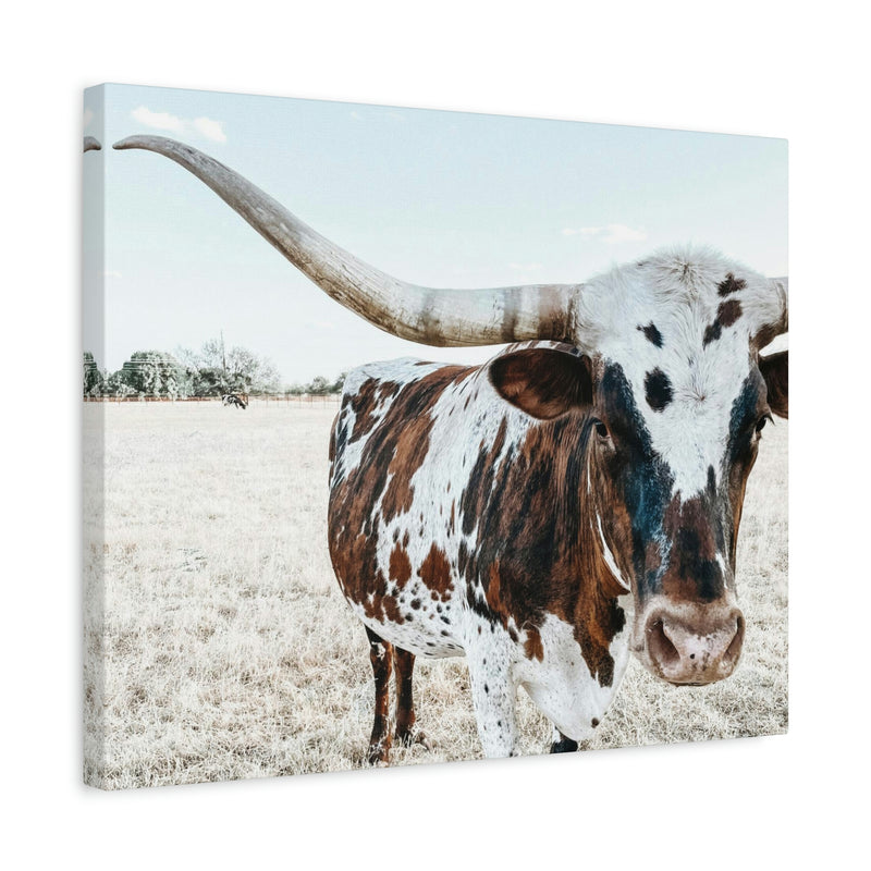 Charlotte The Longhorn Cow Horizontal Canvas