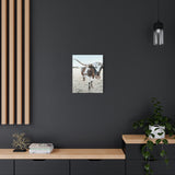 Charlotte Longhorn Cow Vertical Canvas