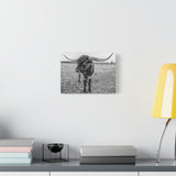 B&W Longhorn Bull Horizontal Canvas