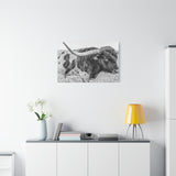 B&W Longhorn Bull Canvas