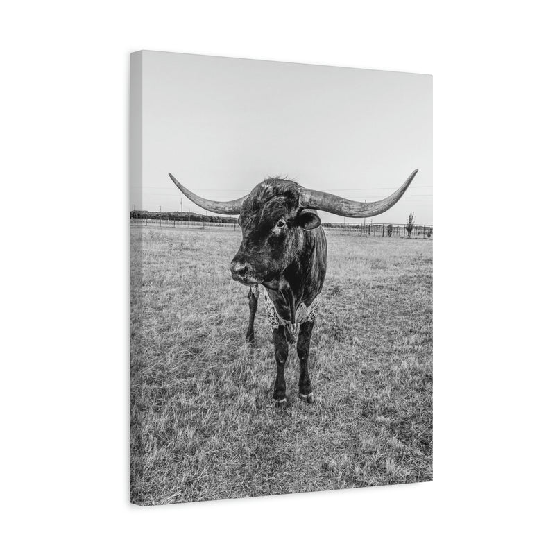 B&W Longhorn Bull Vertical Canvas