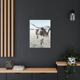 Charlotte Longhorn Cow Vertical Canvas