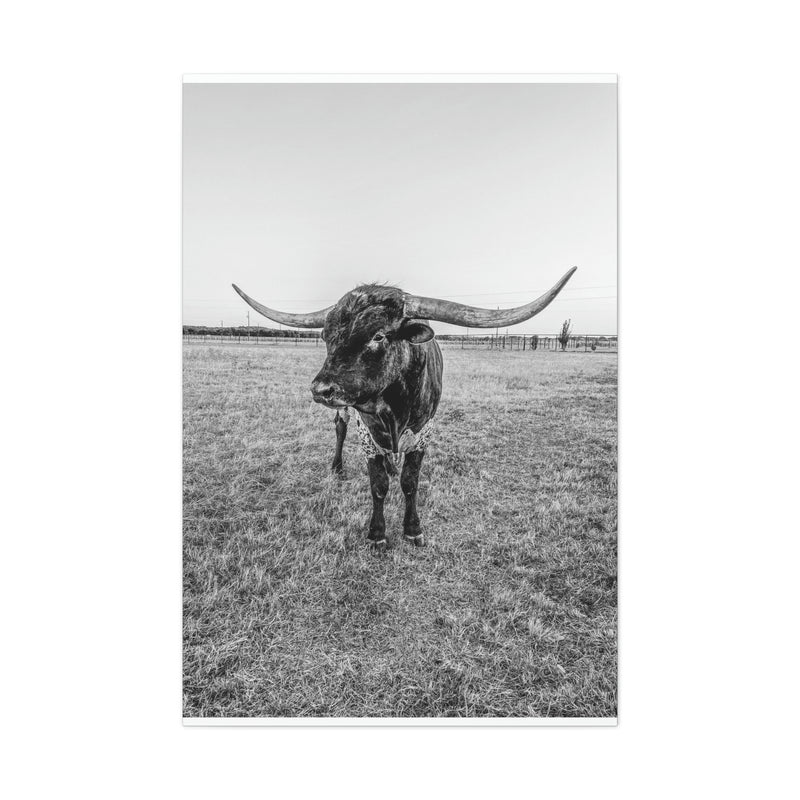 B&W Longhorn Bull Vertical Canvas