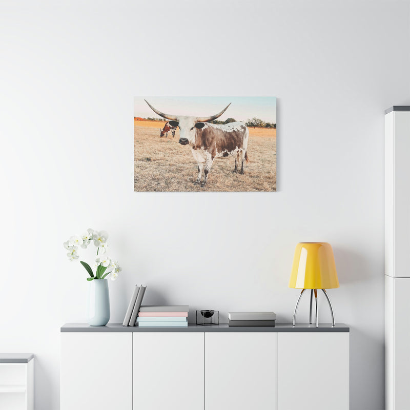 Longhorn Cow Canvas