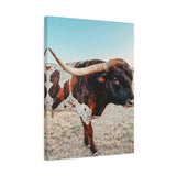 Iron Dragon Longhorn Bull Vertical Canvas