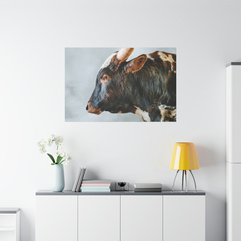 Longhorn Bull Canvas