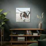 Charlotte The Longhorn Cow Square Canvas