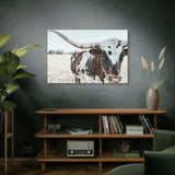 Charlotte The Longhorn Cow Horizontal Canvas