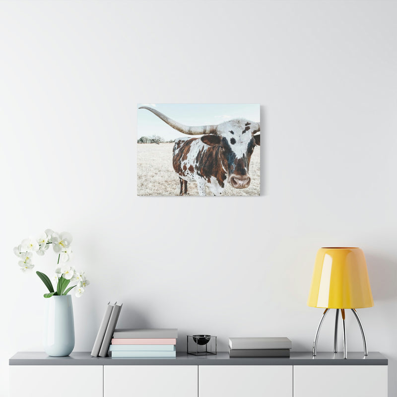 Charlotte The Longhorn Cow Horizontal Canvas