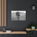 B&W Longhorn Bull Horizontal Canvas