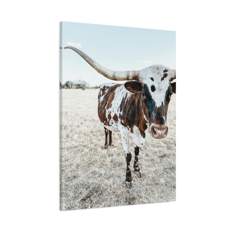 Charlotte Longhorn Cow Vertical Canvas