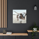 Charlotte The Longhorn Cow Square Canvas