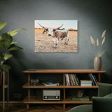 Longhorn Cow Canvas