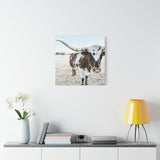 Charlotte The Longhorn Cow Square Canvas