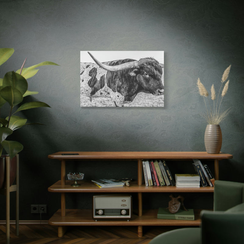 B&W Longhorn Bull Canvas