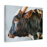 Longhorn Bull Canvas