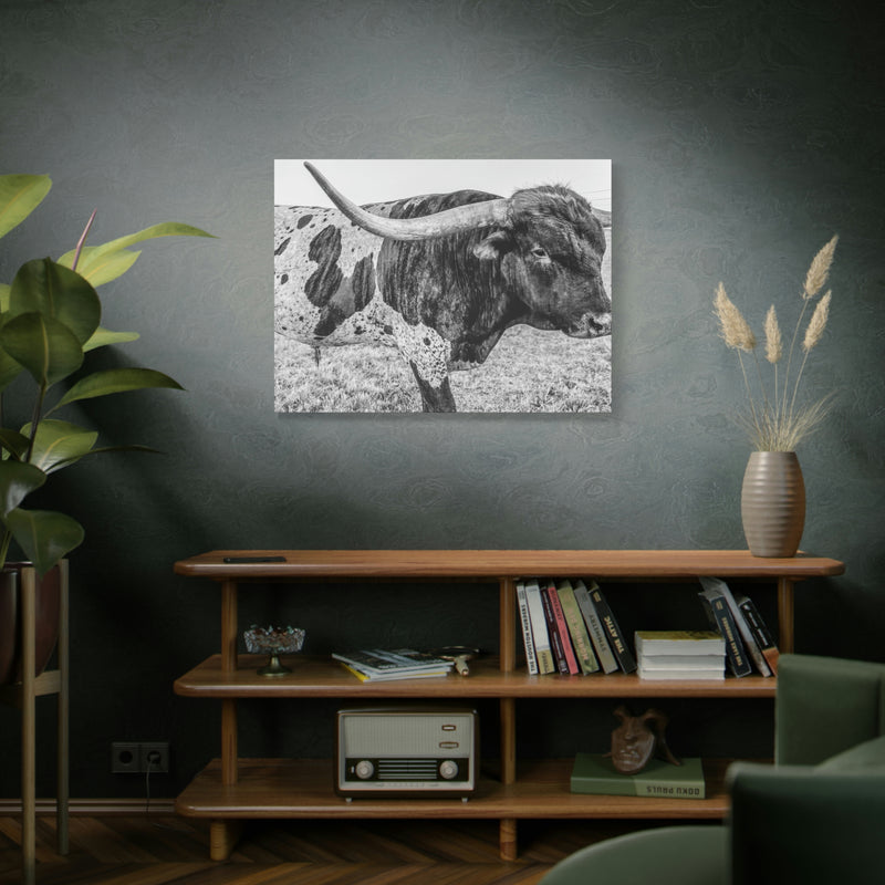 B&W Longhorn Bull Canvas