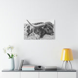 B&W Longhorn Bull Canvas