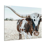 Charlotte The Longhorn Cow Horizontal Canvas