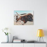 Iron Dragon Longhorn Bull Horizontal Canvas