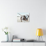 Charlotte The Longhorn Cow Horizontal Canvas