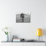 B&W Longhorn Bull Horizontal Canvas