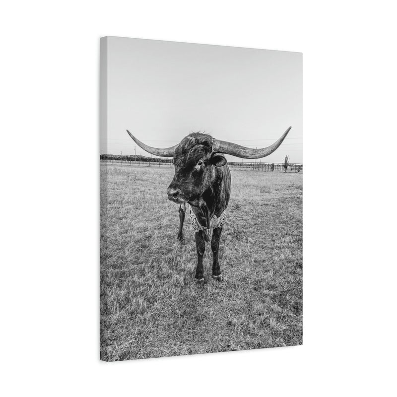 B&W Longhorn Bull Vertical Canvas