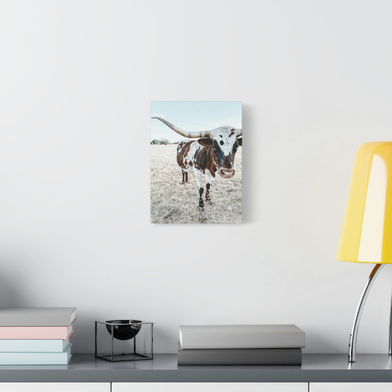 Charlotte Longhorn Cow Vertical Canvas