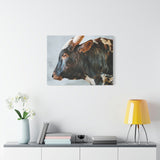 Longhorn Bull Canvas