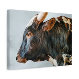 Longhorn Bull Canvas