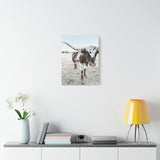 Charlotte Longhorn Cow Vertical Canvas