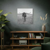 B&W Longhorn Bull Square Canvas