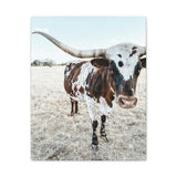 Charlotte Longhorn Cow Vertical Canvas