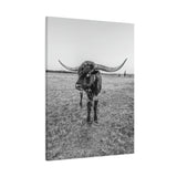 B&W Longhorn Bull Vertical Canvas